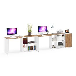 Мебель для домашнего офиса для двоих человек Лидер-8