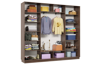 Шкаф-купе Премьер 61 (15;15;15) трёхдверный