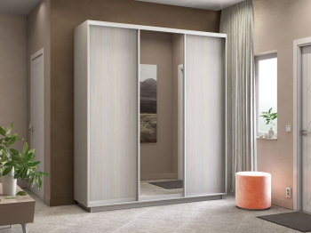 Шкаф-купе Экспресс Медиум (1 зеркало) трио 2200 x 2100 x 600