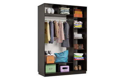 Шкаф-купе Премьер Лайт 10 (05;05) двухдверный