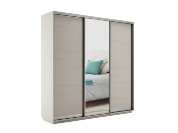 Шкаф-купе Экспресс Медиум (1 зеркало) трио 2200 x 1800 x 450