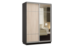 Шкафы-купе, Шкаф-купе Премьер Лайт 02 Мини (08;11) двухдверный