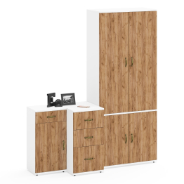 Две тумбочки для документов Лидер-8 3.15 и 3.16 и шкаф 20Б