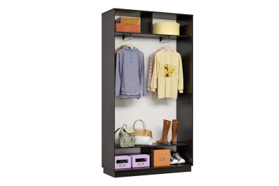 Шкаф-купе Премьер 05 (14;14) двухдверный