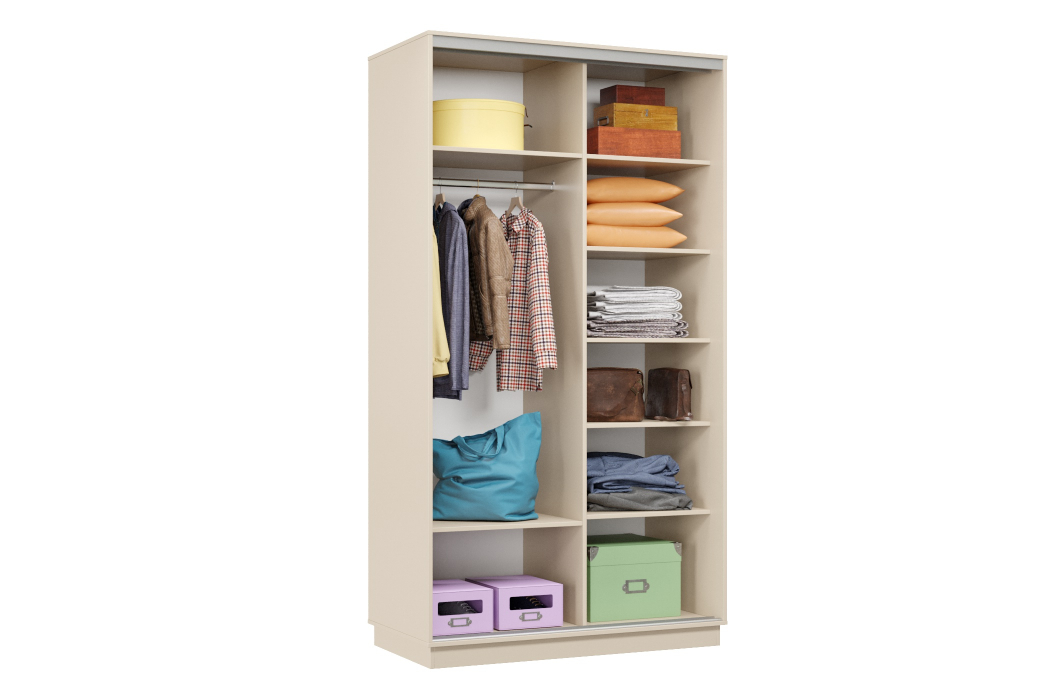 Шкафы-купе 2-х дверные, Шкаф-купе Премьер Лайт МИНИ 04 (08;11) двухдверный