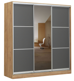 Шкаф-купе 2020х590х2300 Вариант №4