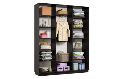 Шкаф-купе Премьер Лайт 31 (01;02;01) трехдверный