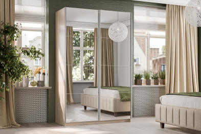 Шкаф-купе Smart 1622 2х дверный (фасады зеркало) профиль серебро