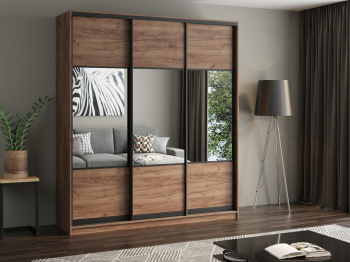 Шкаф купе 3-х дверный АЙСБЕРГ ЛОФТ 220 комбинированный