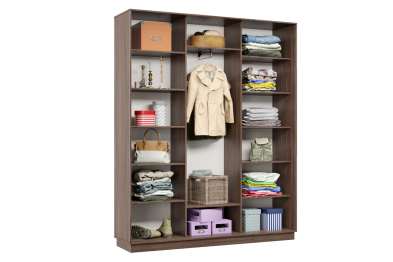 Шкаф-купе Премьер 29 (15;15;15) трёхдверный