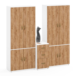 Мебель для офиса из двух платяных шкафов Лидер-8 20Б и подкатной тумбы 3.16