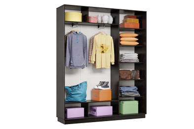 Шкаф-купе Премьер 21 (01ЗГ;01ЗГ;01ЗГ) фасады зеркало графит/трёхдверный/Профиль чёрный муар