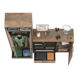 Шкаф для одежды в прихожую и большой комод Трувор