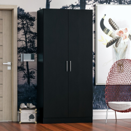 Шкаф 2-х створчатый Стандарт