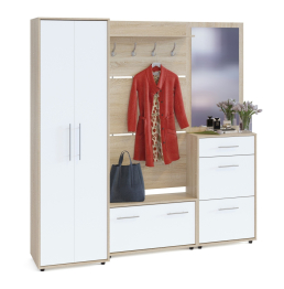 Прихожая ТП-3 + ТП-2 + ПЗ-3 + ВШ-3.1 + ШО-1