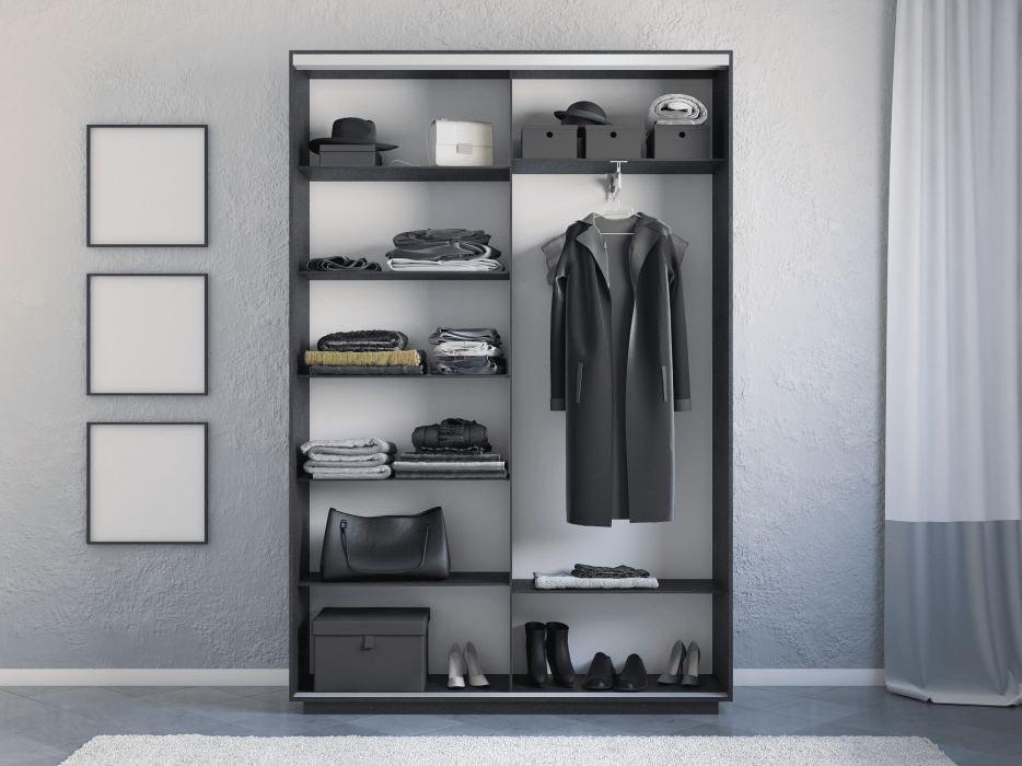 Шкафы-купе 2-х дверные, Шкаф-купе Экспресс 2-х дверный Фотопечать Ленты Стекла 160х45х240