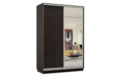 Шкафы-купе 2-х дверные, Шкаф-купе Премьер Лайт МИНИ 02 (02;01) двухдверный