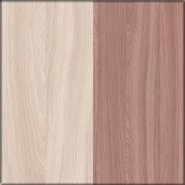 Прихожая Ксения-2