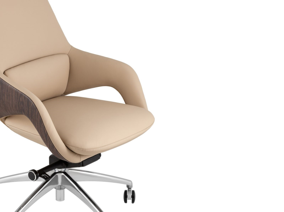 Для офиса и дома, Кресло руководителя TopChairs Reign