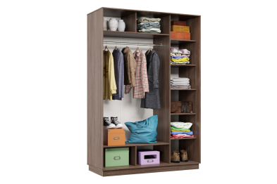 Шкаф-купе Премьер 10 (15;15) двухдверный