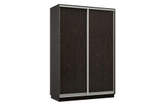 Шкафы-купе 2-х дверные, Шкаф-купе Премьер Лайт МИНИ 02 (02;02) двухдверный