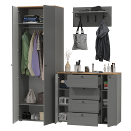 Шкаф в прихожую две двери с комодом и вешалкой для одежды с полкой Остин