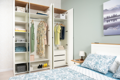 Шкаф для одежды две двери внутри три выдвижных ящика Остин 13.336.02