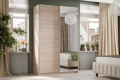 Шкаф-купе Smart 1422 2х дверный (фасады ЛДСП,зеркало) профиль серебро