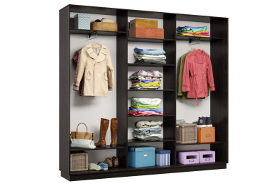 Шкаф-купе Премьер 53 (16;16;16) трёхдверный