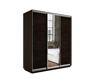 Шкаф-купе Экспресс Медиум (1 зеркало) трио 2400 x 2100 x 600