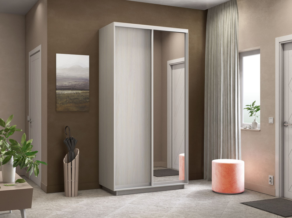 Шкафы-купе 2-х дверные, Шкаф-купе Экспресс Медиум дуо 2200 x 1200 x 450