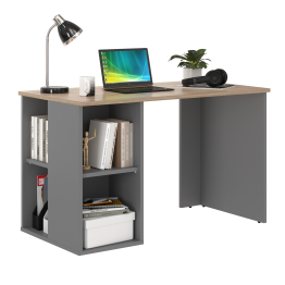 Стол письменный Лайт 12.163