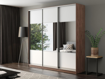 Шкаф-купе Айсберг 250 ШАМОНИ ТЕМНЫЙ (белый/комбинированный)